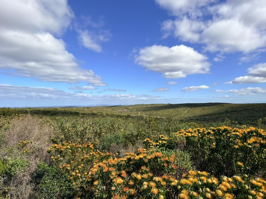 0 Bedroom Property for Sale in Riversdale Rural Western Cape